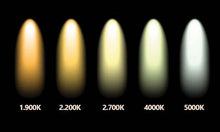 Afbeelding in Gallery-weergave laden, Goud serie Calex LED lang filament